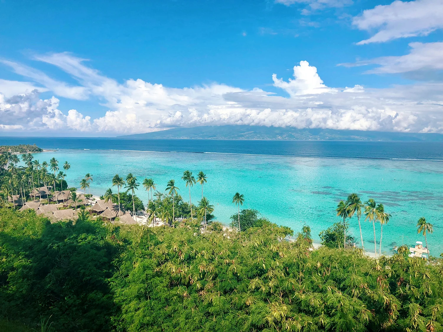 モーレア島(Moorea Island)