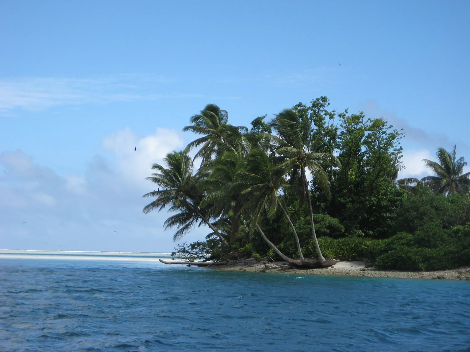 タラワ環礁(Tarawa Atoll)