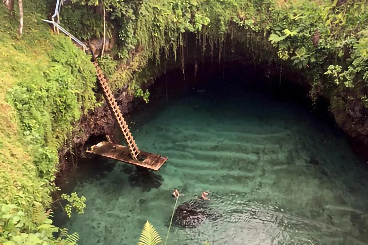 サバイ島(To Sua Ocean Trench)