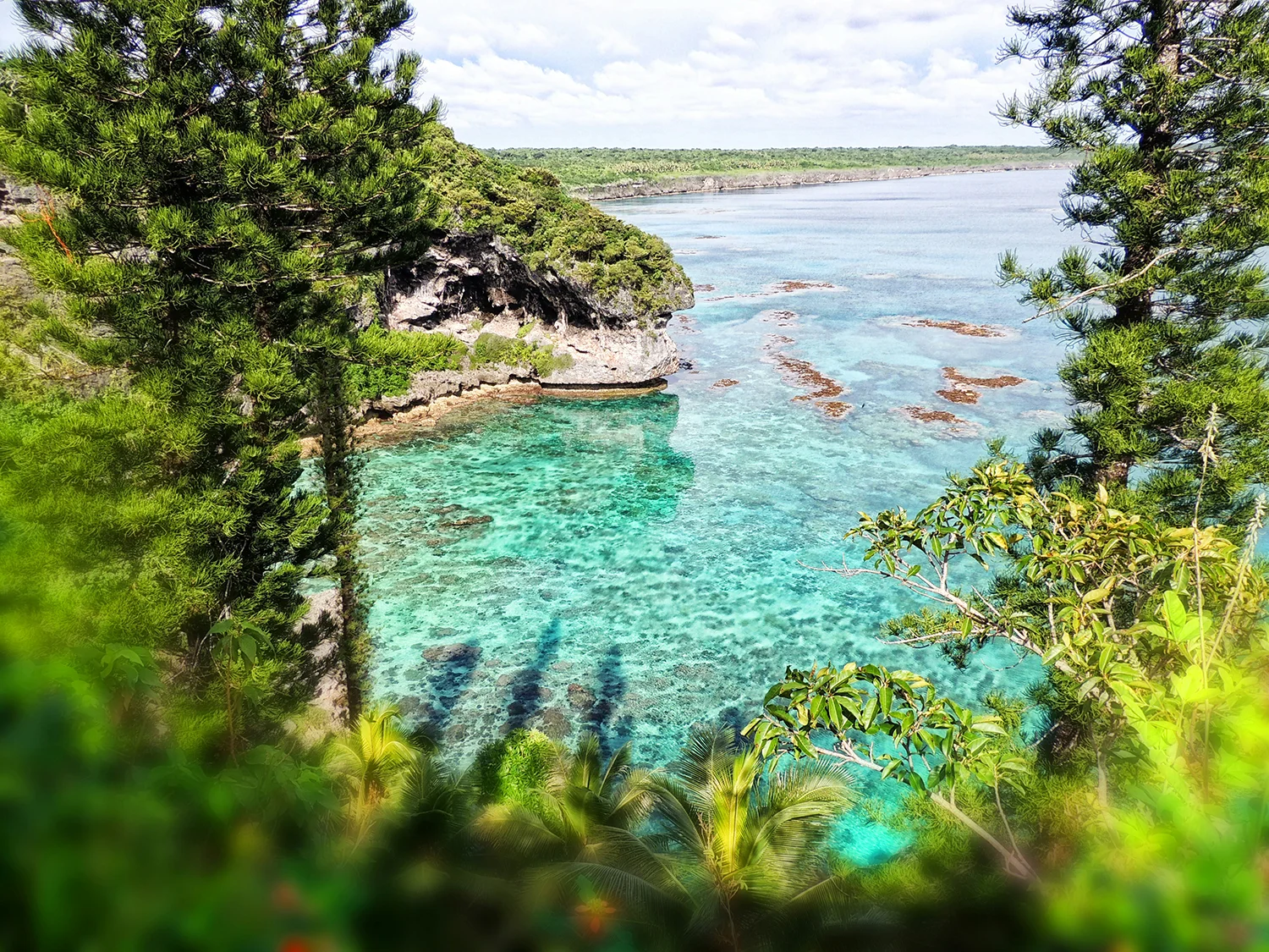 ル・ロック島(Loyalty Islands / Lifou & Maré)